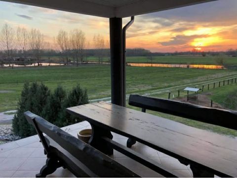 Eladó Ház 6239 Császártöltés , HALASTAVAK / ÁLLATSIMOGATÓ / PRÉMIUM OTTHON EGYBEN!