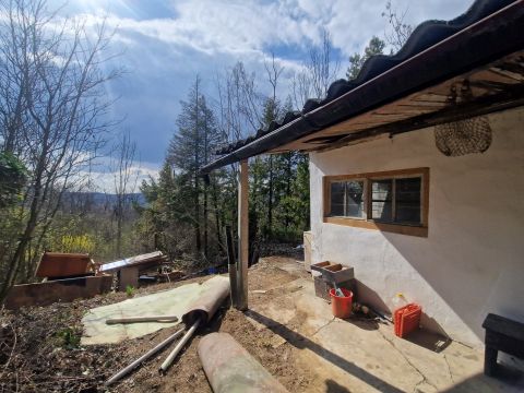 Eladó Ház 1028 Budapest 2. kerület , ***TERMÉSZETKÖZELI MADÁRCSICSERGŐS HÁZIKÓ***