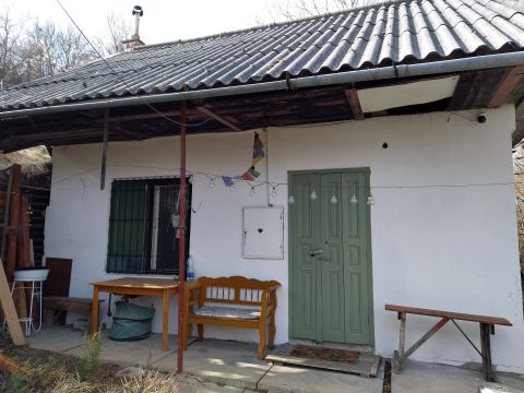 Eladó Telek 2023 Dunabogdány Dunabogdányban természet közeli telek 