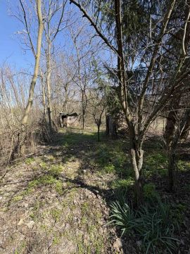 Eladó Telek 2252 Tóalmás Forrai dűlő