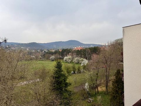 Eladó Lakás 1026 Budapest 2. kerület , 1026 Budapest 2, Pasarét