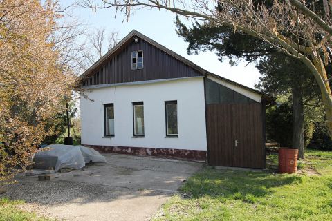 Eladó Ház 6645 Felgyő , Tanya 6,5 hektár mogyoró ültetvénnyel ELADÓ