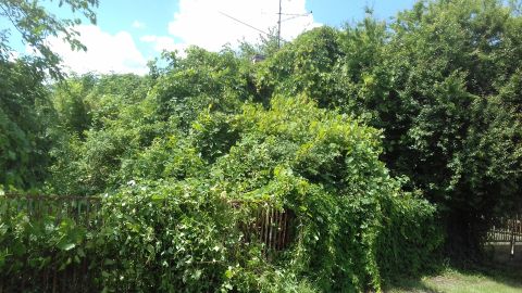 Eladó Ház 7444 Osztopán 