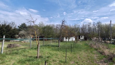 Eladó Ház 2330 Dunaharaszti , Természetközeli, erdő melletti nyaraló eladó!