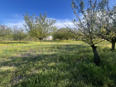 Eladó Telek 6034 Helvécia 