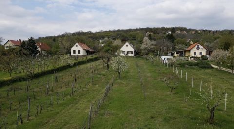 Eladó Ház 8227 Felsőörs , Szürkebarát utca közelében