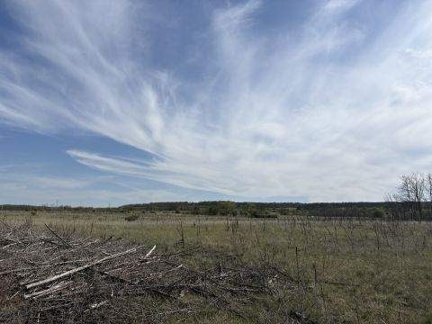 Eladó Telek 2100 Gödöllő , Külterületi szántó