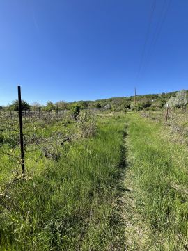 Eladó Telek 8100 Várpalota , Inota