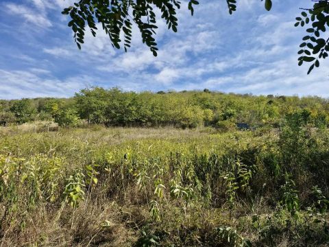 Eladó Telek 7100 Szekszárd , 7100 Szekszárd, csendes