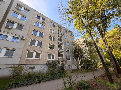 Eladó Lakás 4246 Nyíregyháza , 4400 Nyíregyháza, Almatároló