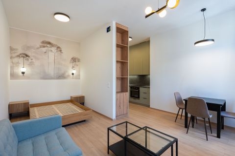 Kiadó Lakás 1088 Budapest 8. kerület , FELÚJÍTOTT, MODERN LAKÁS KIADÓ A BLAHA LUJZA TÉR KÖZELÉBEN