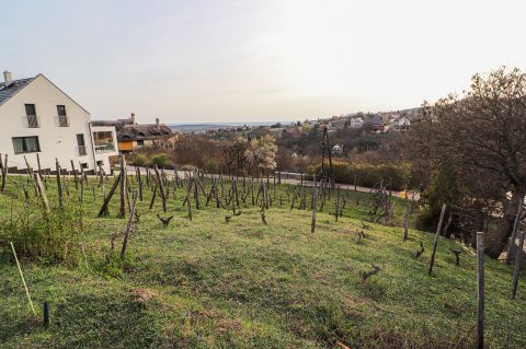 Eladó Telek 8096 Sukoró Panorámás telek a Présház utca alatt