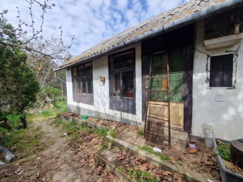 Eladó Ház 6500 Baja 4. Körzetben tanya, gyümölcsös