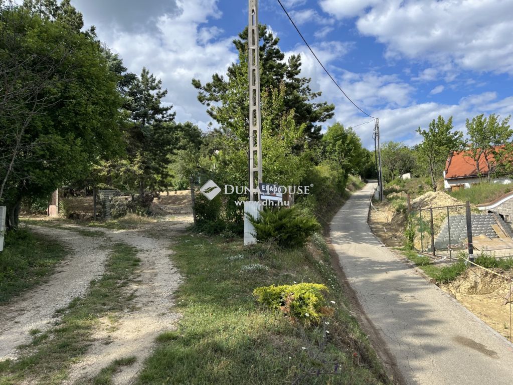 8229 Paloznak , Pincesor utca közelében — 1/11
