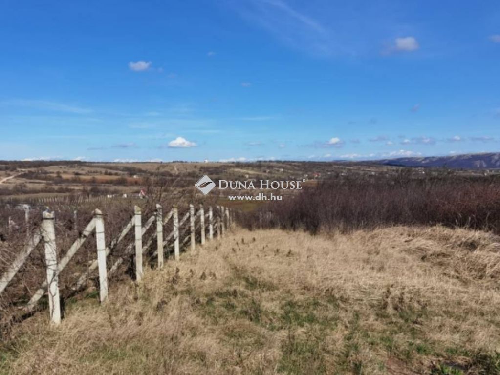 8100 Várpalota , zártkert kis présházzal, szép panorámával — 1/12