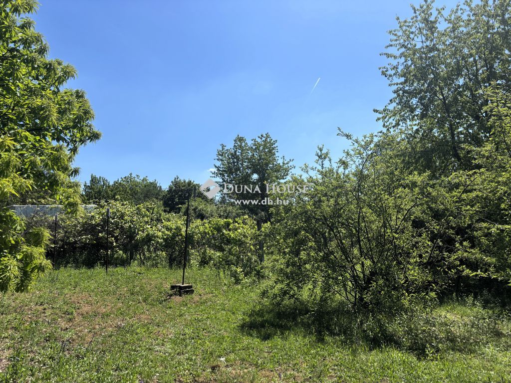 2092 Budakeszi , Nagyszénászúg — 1/5