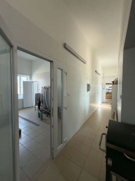 Kiadó Ipari 6300 Kalocsa 