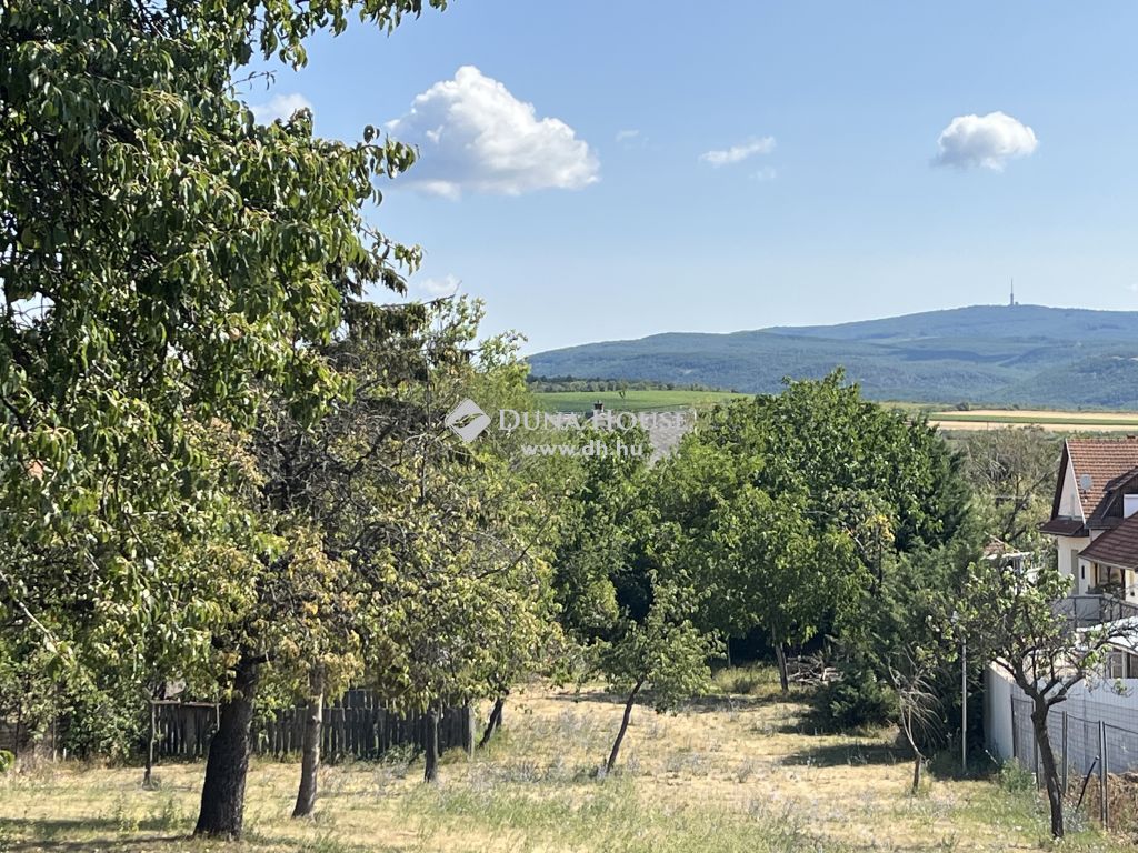 3211 Gyöngyösoroszi , Petőfi utca — 1/87