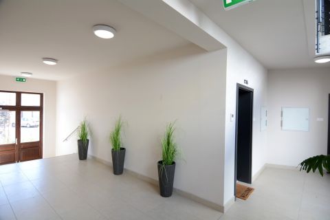 Kiadó Lakás 6000 Kecskemét Belváros, 1. emelet, nappali+3 szoba, erkély, garázs