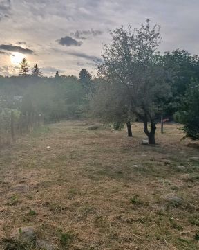 Eladó Telek 2459 Rácalmás , 2459 Rácalmás, Telkek