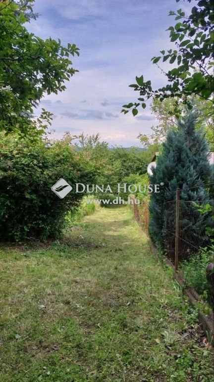 2023 Dunabogdány — 1/3