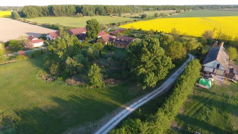 Eladó Telek 2321 Szigetbecse 