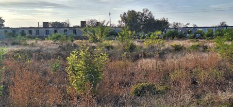 Eladó Ipari 2750 Nagykőrös , Logisztikai központnak, kamion parkolónak az M44 közelében